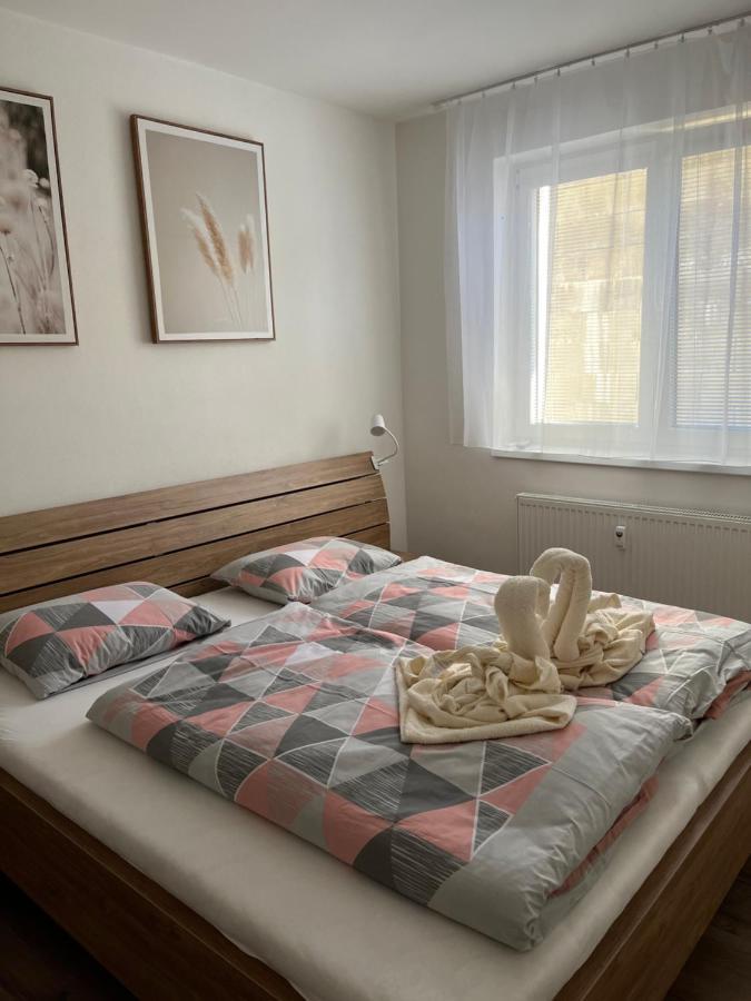 Novy Apartman V Arealu Wellness Hotelu Фримбурк Экстерьер фото