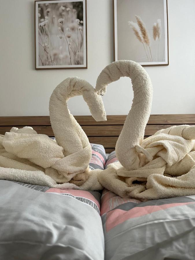 Novy Apartman V Arealu Wellness Hotelu Фримбурк Экстерьер фото